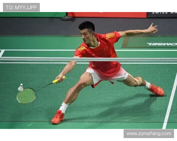 成都与深圳羽毛球队对决赛后分析力量对比与战术探讨