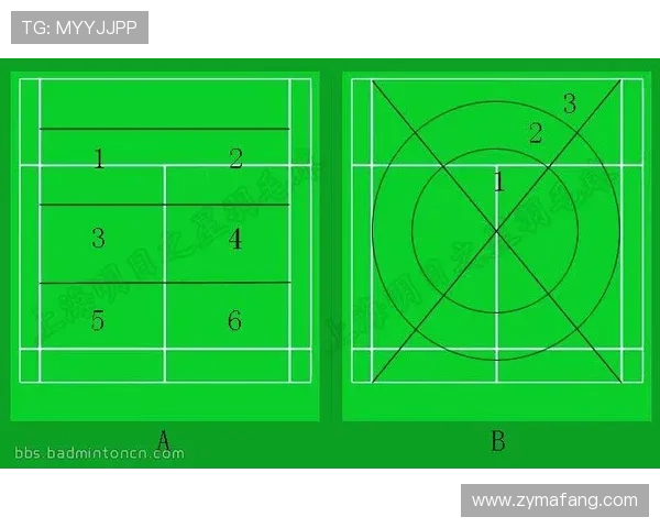 成都羽毛球队转换打法的深度解析与战术创新探讨