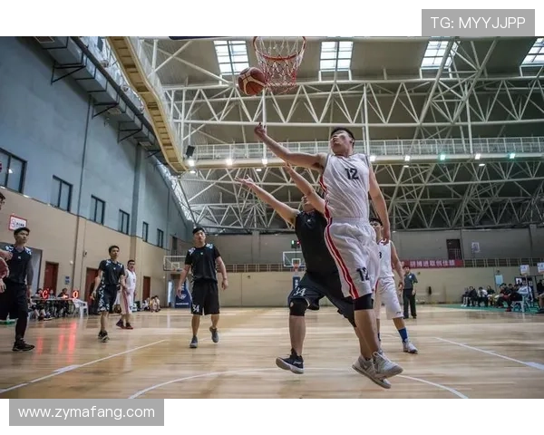 刘娜独家篮球心得分享：从基础技巧到实战经验的全面解析与提升建议