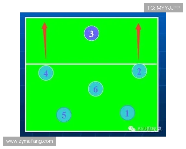 广州排球队进攻策略全解析：深度剖析排球战术与团队协作技巧